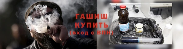 гидра Алексеевка
