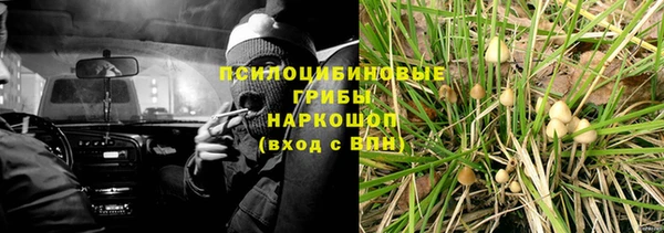дживик Алексин