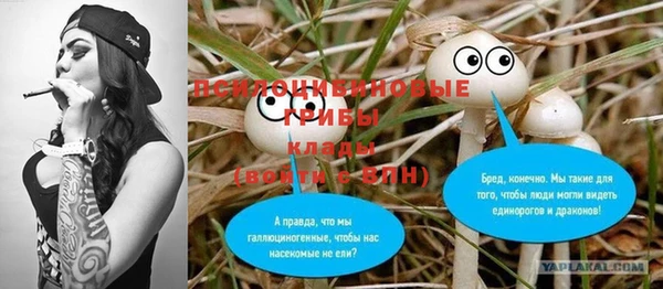 гидра Алексеевка
