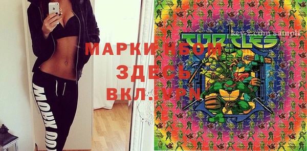гидра Алексеевка